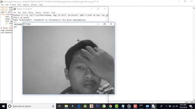 Calling the Webcam Gray with OpenCV Python смотреть онлайн