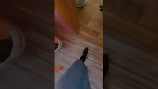 Дзержинск, продажа, 3к патоличева 11,89535636877 смотреть онлайн