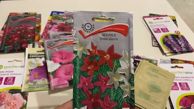 Семена однолетних цветов на 2023 год. Часть 2 смотреть онлайн