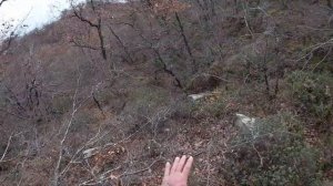 Охота на вальдшнепа в Крыму  По волнам памяти