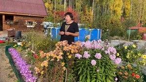 МЕТОДЫ БОРЬБЫ С ВЬЮНКОМ (БЕРЁЗКОЙ)