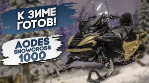 AODES SWONCROSS 1000. Утилитарный снегоход для многих задач.