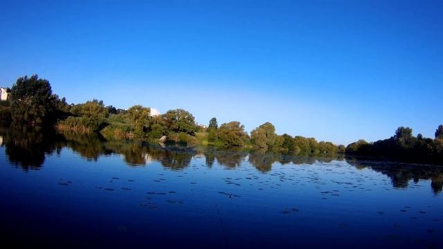 лучшая незацепляйка блесна