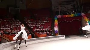 Высшая школа Верховой езды