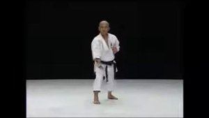 Рюэй рю ката Сансеру