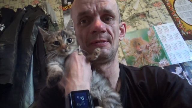 нашел котёнка кошочку кто выкинул или потерял смотреть онлайн