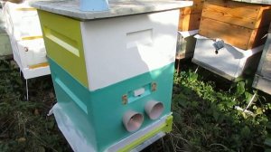 ответы на вопросы - чашки  заградители на летки улья