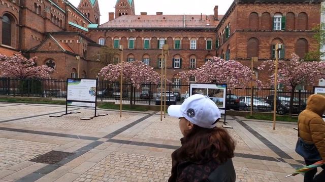 ГРАЦ. Музей Шварценеггера. АВСТРИЯ. Кухня СЛОВЕНИИ, кемпинг в горах. На МАШИНЕ по ЕВРОПЕ. смотреть онлайн