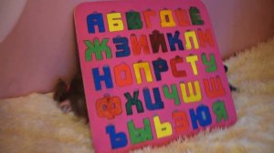 Виктория учит алфавит, буквы русского алфавита. Азбука для детей. Цифры для детей от 1 до 10.