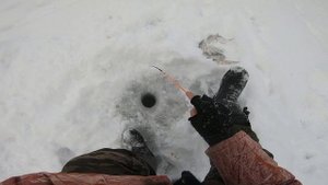 рыбалка зимняя 2021-22 ловля на мухомормыш! безмотылка рулит в глухозимье!