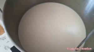 варю сыр Гауда на индукционной варочной поверхности. Iplate T24pro