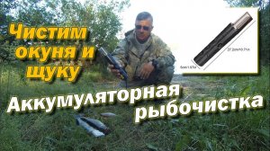 Аккумуляторная рыбочистка Первое использование Чистим окуня и щуку