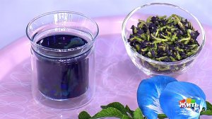 Чай анчан - чай для диабетиков. Жить здорово! Фрагмент выпуска от 16.03.2020