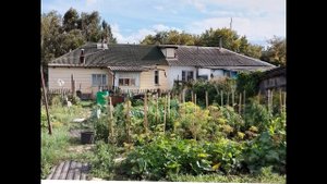 Год 2022, каким он был