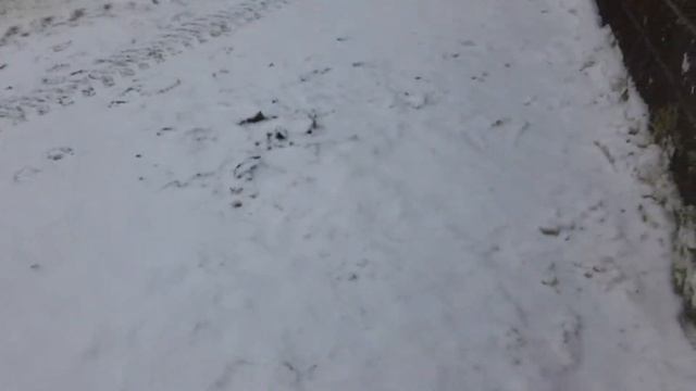 лёд жк ласточка смотреть онлайн