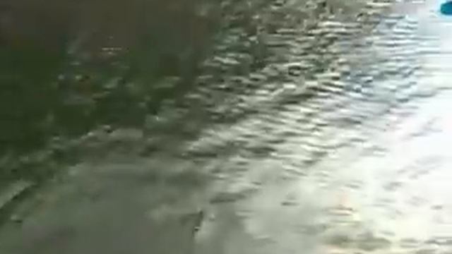 Алексей Шанин. Рыбалка. Куба. Часть 2. смотреть онлайн