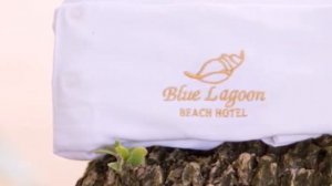 Blue Lagoon Beach Hotel 3*