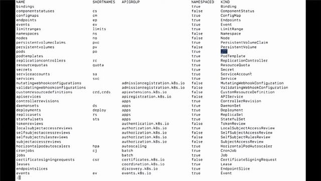 Using Options to Explore the API in Kubernetes - CKA Video Course Lesson Sander van Vugt смотреть онлайн