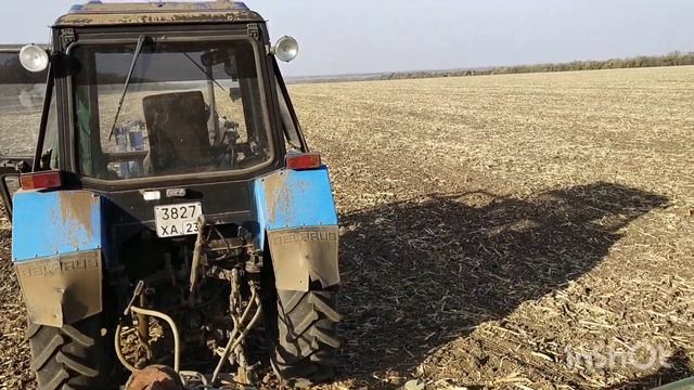 опыт √ 3 озимый ячмень по предшественнику кукуруза. с вл 77 и оракул семена от компании Дол Агро. смотреть онлайн