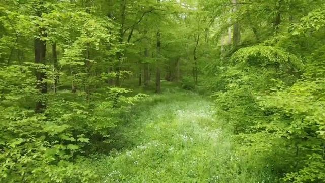Что важно подарить на Пасху? И что строго запрещено?