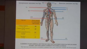 Дисплазия соединительной ткани и вегетативная дисфункция (Делягин В.М.)