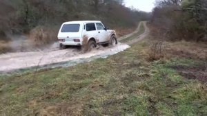 мини тест драйв форвард сафари 540