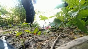 ЛОВЛЯ ОКУНЯ в р. ДОН. РЫБАЛКА В ВОРОНЕЖСКОЙ ОБЛАСТИ. КАК И ГДЕ ЛОВИТЬ ОКУНЯ