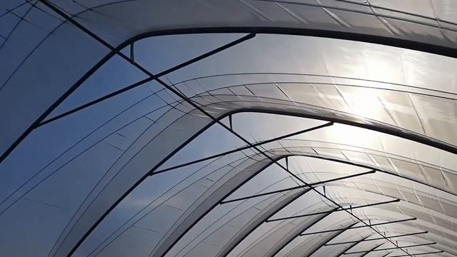 Описание и характеристики Ягодных туннелей от компании ХОЗАГРО