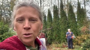Упало дерево на садовый участок