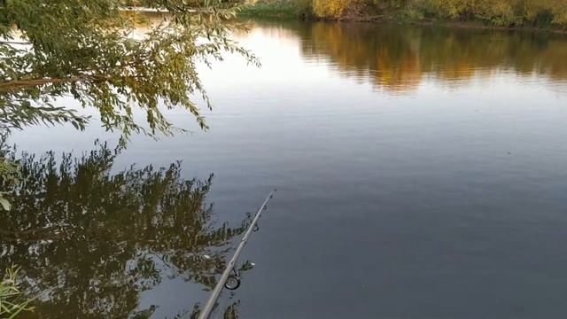 Рыбачу на коричневый виброхвост поймал её за брюхо р.Алабуга