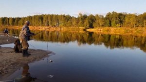 отдых на р.Ветлуга рыбалка на фидеры