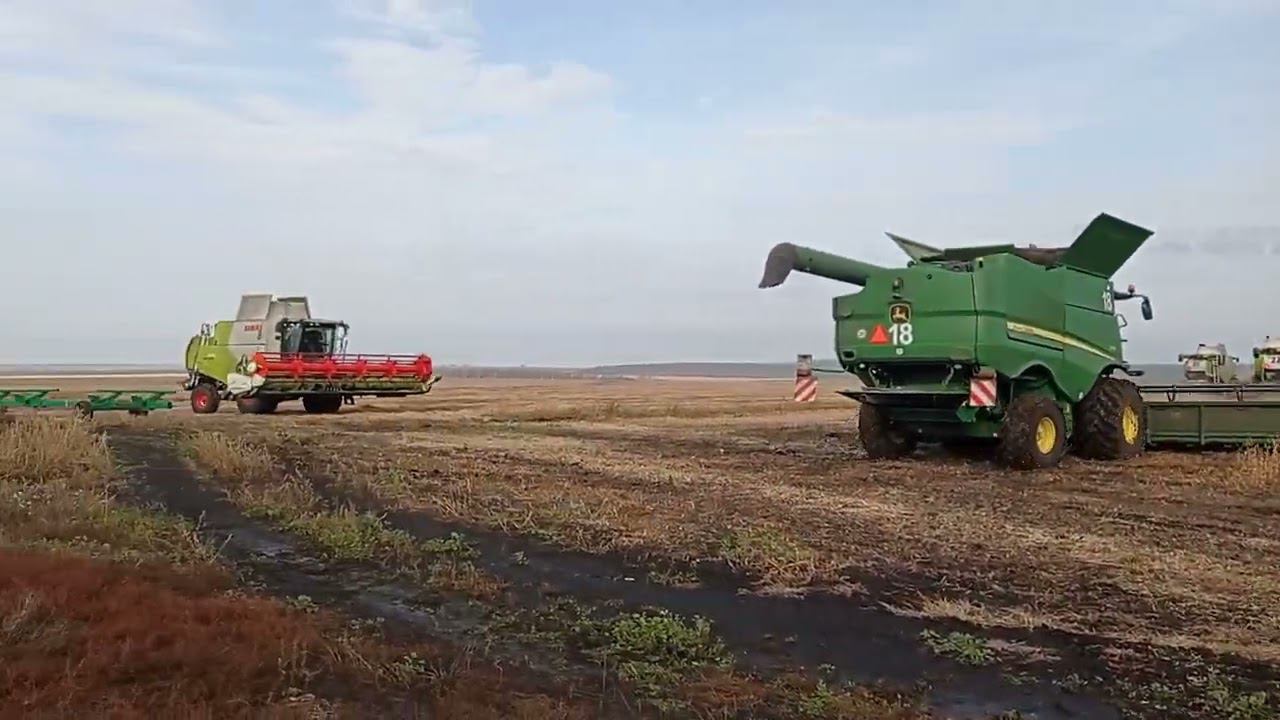 Уборка сои 2023 , поздняя ноябрь. смотреть онлайн
