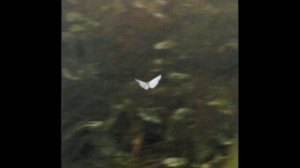 ssshhhiiittt- Дворы speed up (1 час)