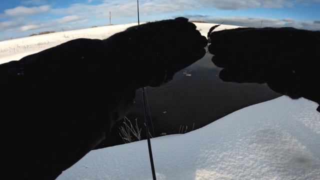 Окунь клюет на каждом забросе! ЗИМНИЙ СПИННИНГ!!! РЫБАЛКА на джиг ранней весной.