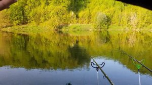 Рыбалка на фидер на реке Дон | ЛОВЛЯ НА ФИДЕР В МАЕ