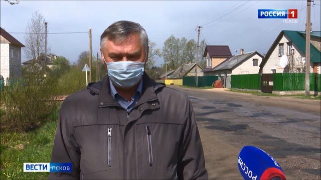 К отдыхающим иногородним дачникам жители Струг Красных в период пандемии относятся «по-особому»