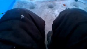 Рыбалка в Приморском крае, навага клюет на железо..