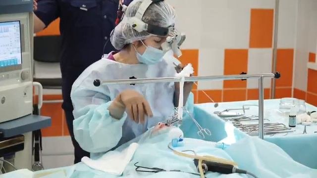 Оториноларинголог высшей квалификационной категории Химичева Елена Владиславна