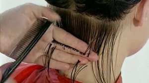 Домашний парикмахер. Наглядные уроки