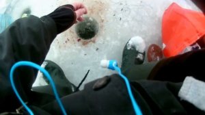 Щука в январе на флажки . Жерлицы работали .