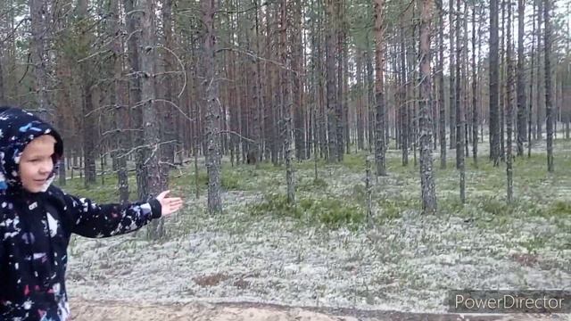 Едем на Соловки, часть 1. Дорога. смотреть онлайн