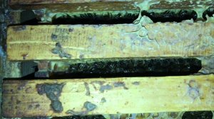 #Зимовка пчёл 12.12.20 #pereborovobee