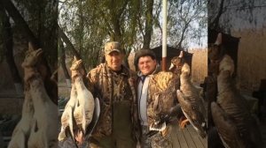 Охота на гуся и утку база «7 Жилка»