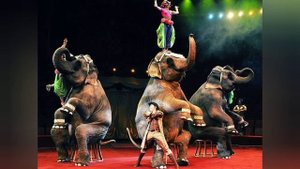 "Выходной  марш". И.Дунаевский