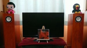 FOSTEX FE83-Sol + BK83-Sol (back-loaded horn)