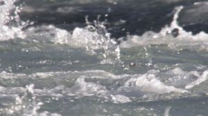 Дикая природа Чили 2 серия «Доисторический край» (документальный сериал, 2017)