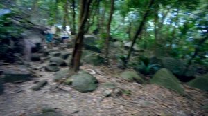 Почему все без ума от Сейшел, ч. 5. Anse Royal, Botanic Garden, Anse Major, подводный мир,Anse Loui