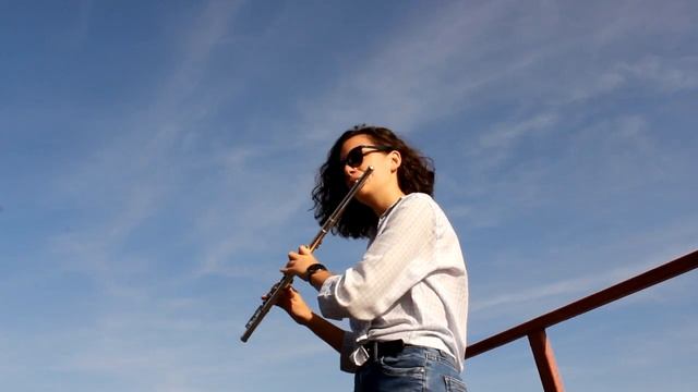 Luis Fonsi - Despacito ft.Daddy Yankee (Cover Trombone/Flute) смотреть онлайн