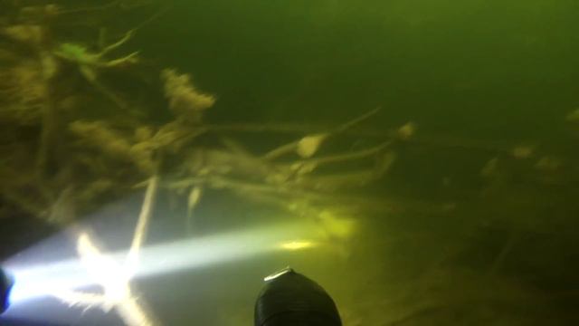 Отчет о подводной охоте 17 октября. Судак, щука, сом. смотреть онлайн