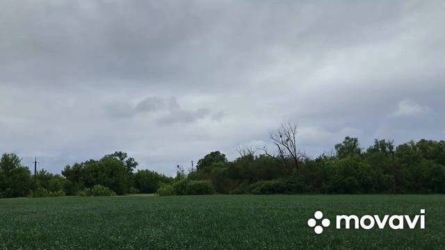 Уберу Пшеницу,посею Кукурузу -стану миллионером☺️продал поросят миллионером -так и не стал? смотреть онлайн